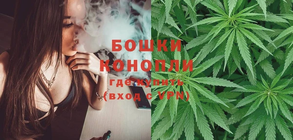 винт Верея